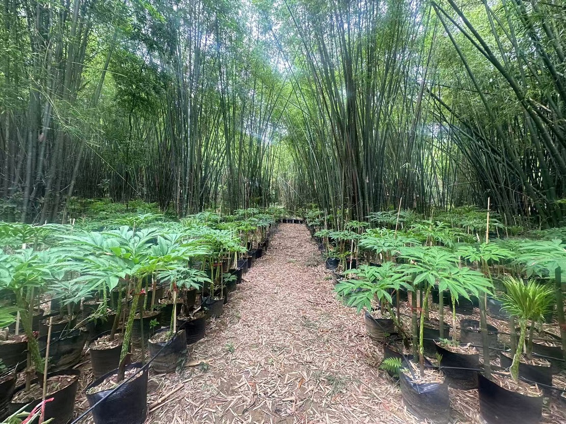 文章配图